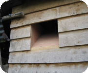 Planning for bat access in wooden building